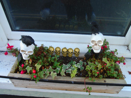 2024 Gwydir St Halloween window